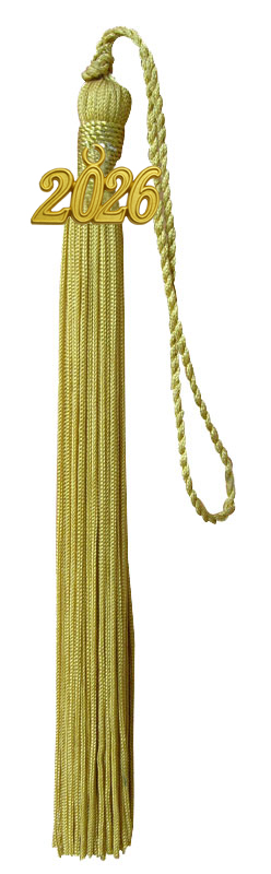 Tassel Depot Graduation Honor Cord - Royal/Gold - Every School Color...